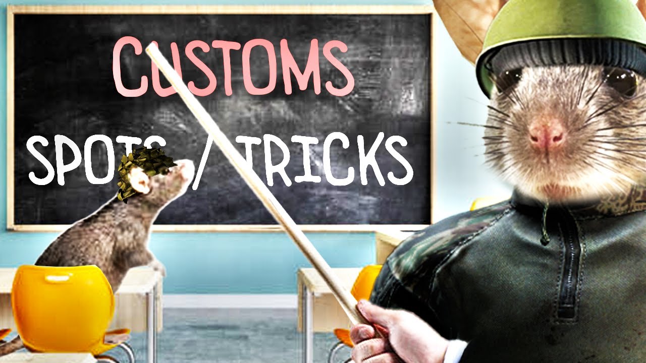 Rat school Customs off meta spots / tricks