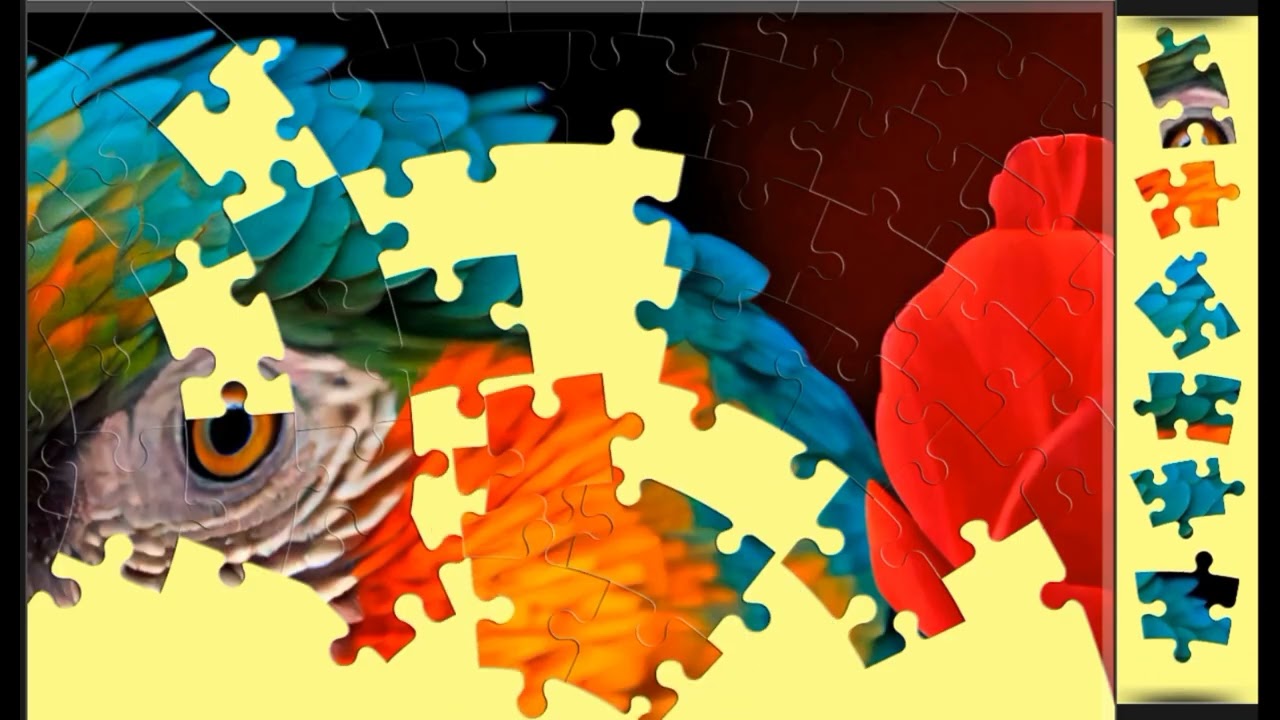 Morning in The Jungle🦜🦜 jigsaw puzzle🧩🧩 || @funpuzzle1122 