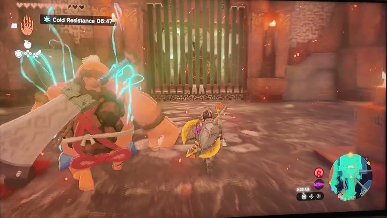 The Legend of Zelda: Tears of the Kingdom