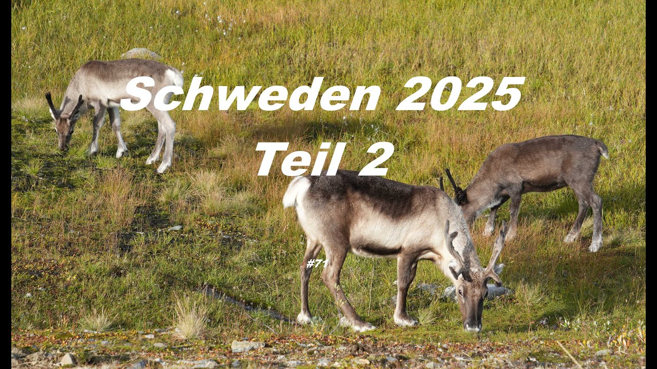Schweden 2025 Teil 2