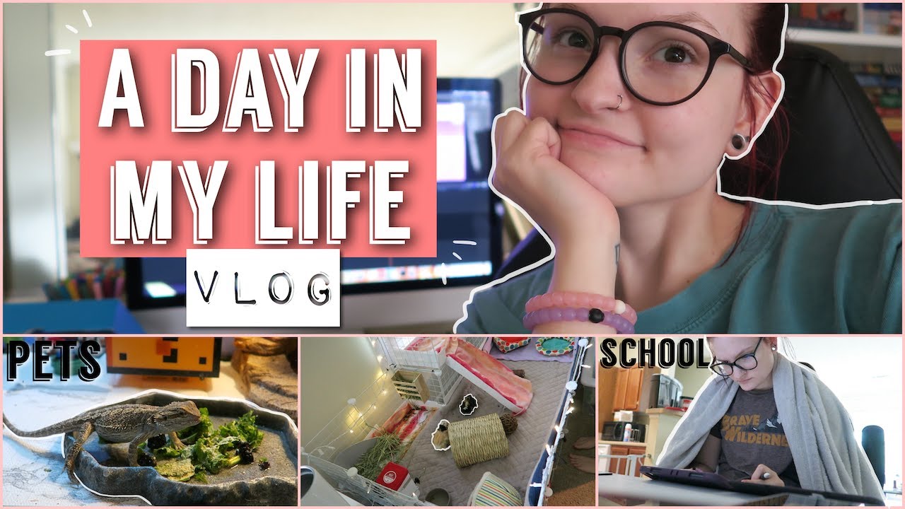 my everyday routine 🌱✨
