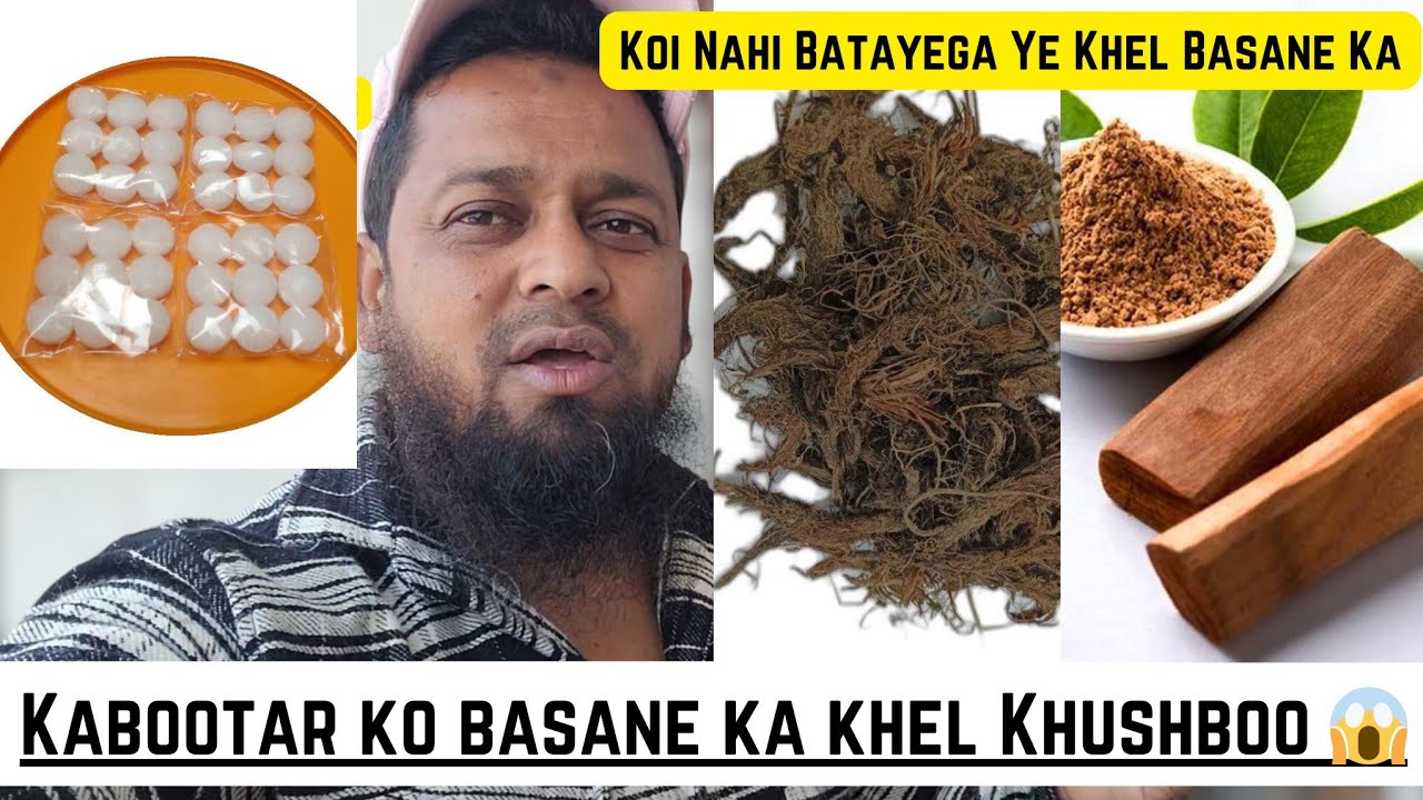 Koi Nahi Batayega Kabootar Ko Basane Ka Ye Khel Pani ||@Pigeons care factory
