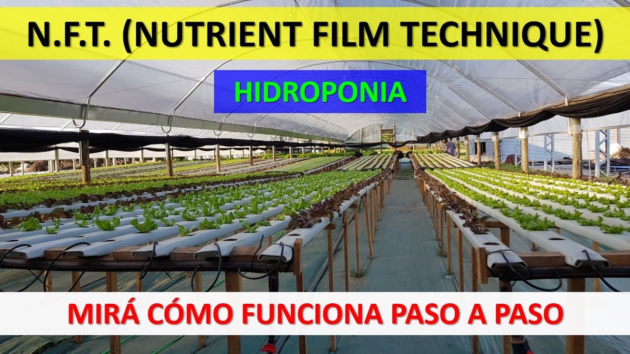 NFT Hidropon&iacute;a - C&oacute;mo Funciona [Paso a Paso]