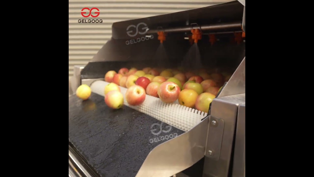 Complete Apple Processing Line 🍏  From Washing to Grading in One Flow