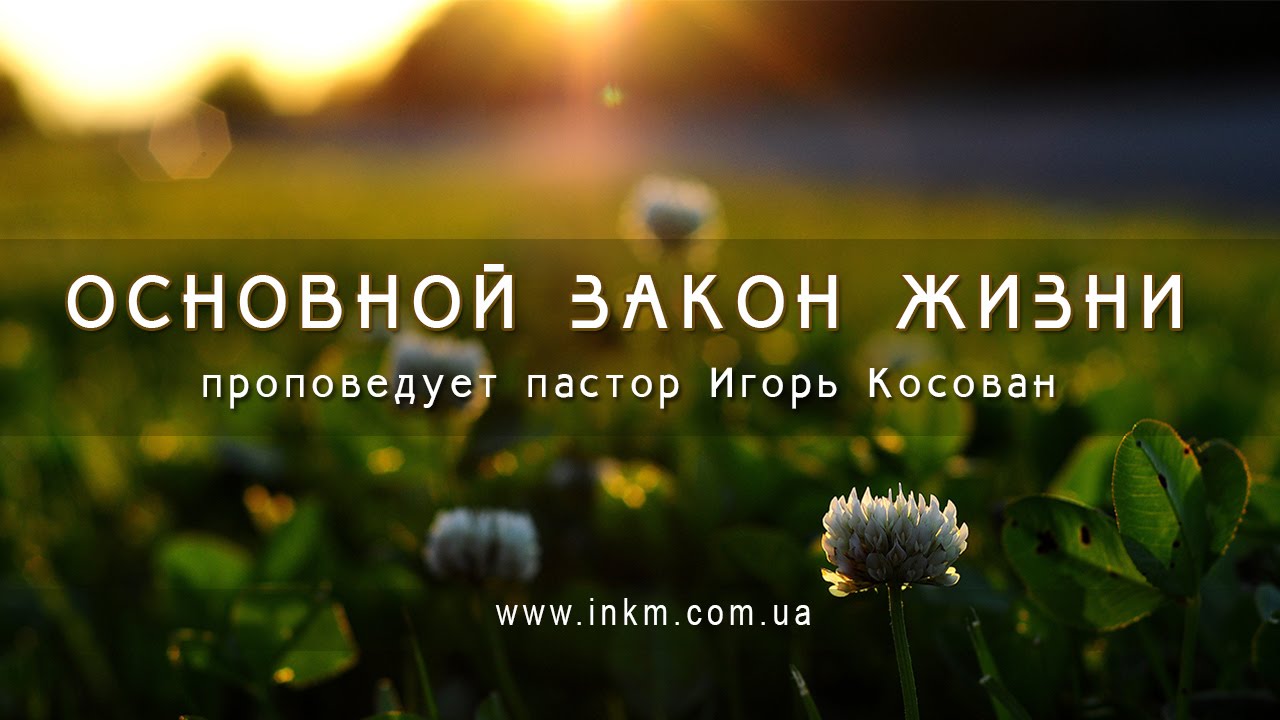Проповедь - Основной закон жизни - Игорь Косован