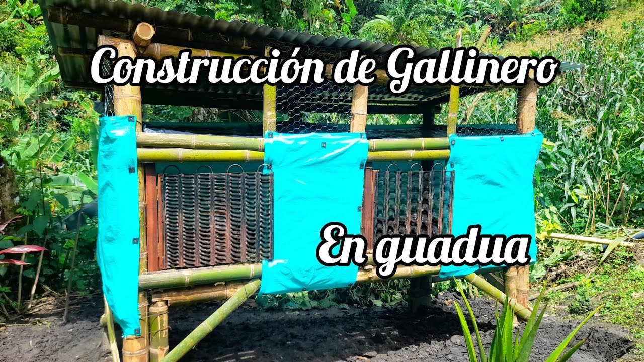 Vlog #8✅️Así➡️Construimos  un gallinero en guadua |Llegaron los pollos a la casita de campo🐣🐤