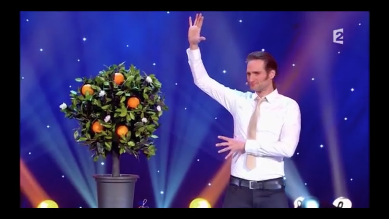Orange tree illusion | Le plus grand cabaret du monde | Julius Frack
