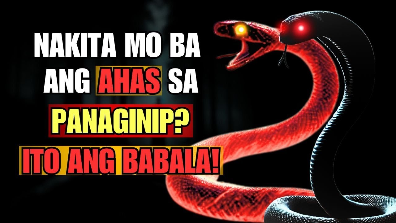 10 URI NG AHAS SA PANAGINIP AT KANILANG KAHULUGAN AYON SA BIBLIYA [ENGLISH SUBS]