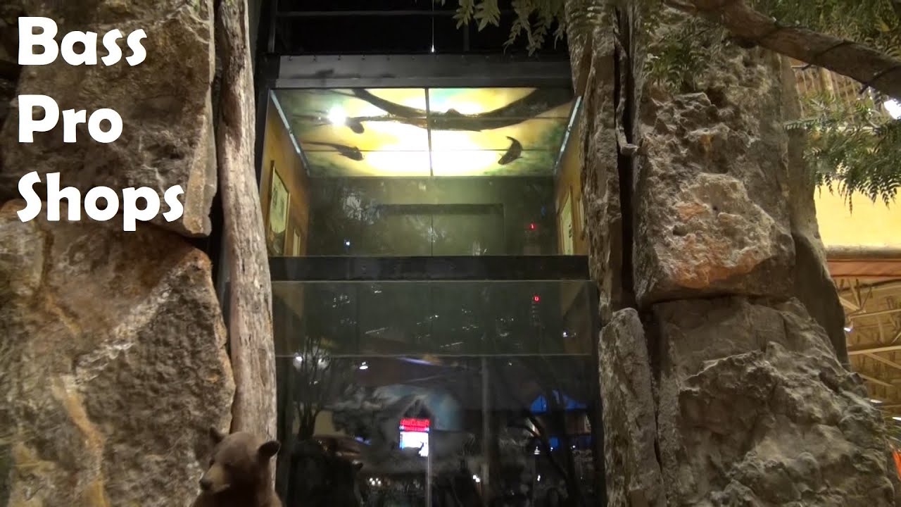 Two Awesome Thyssenkrupp Glass Elevators at Bass Pro Shops in San Antonio, TX