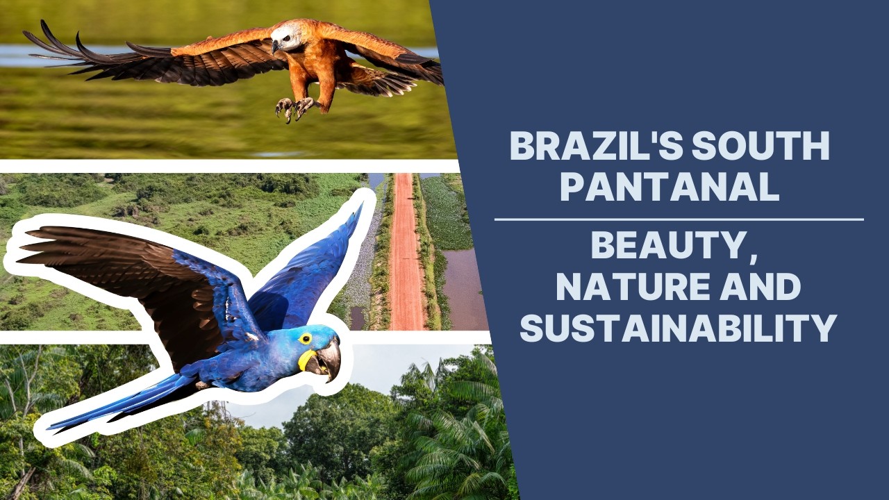 Brazil's South Pantanal - Beauty, Nature and Sustainability