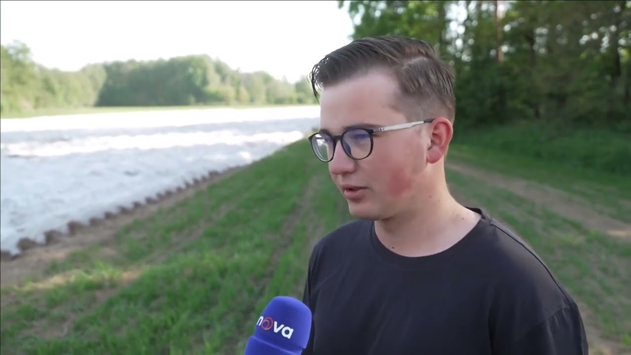Ranní mrazíky ničí letošní úrodu. Pěstitelům už způsobily milionové škody