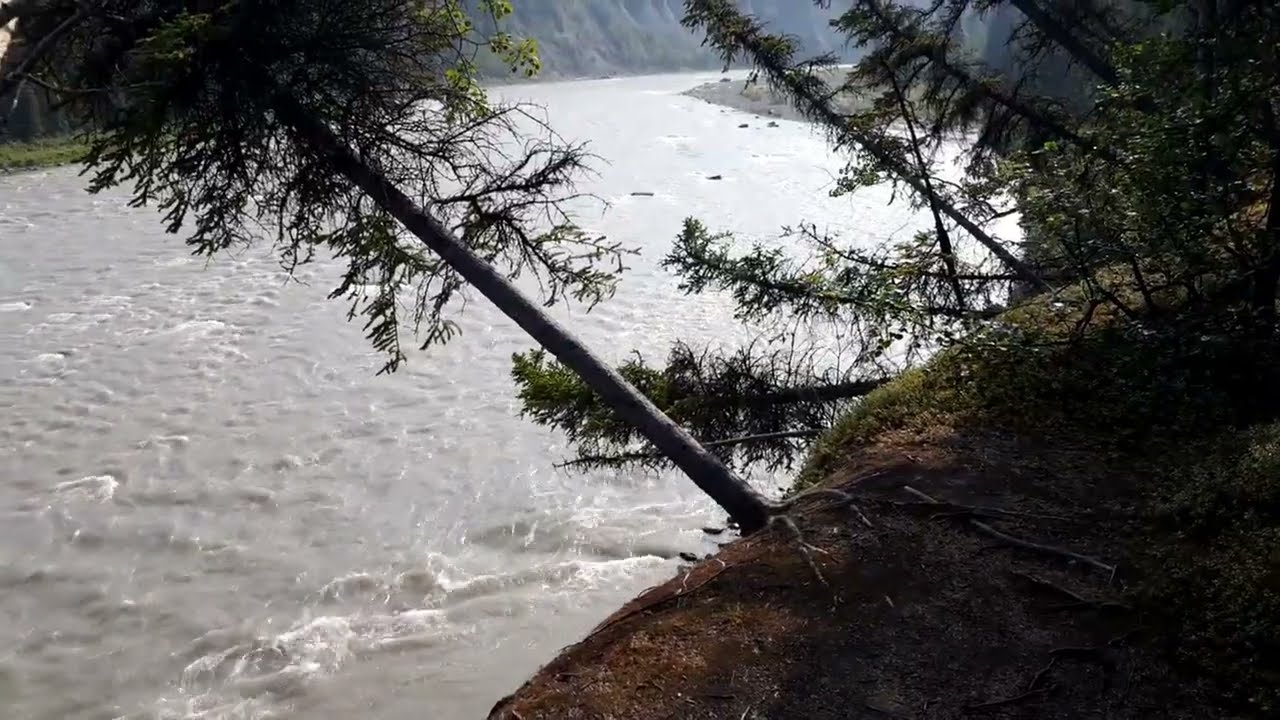 Walking near Denali Grizzly bear resort (Alaska)