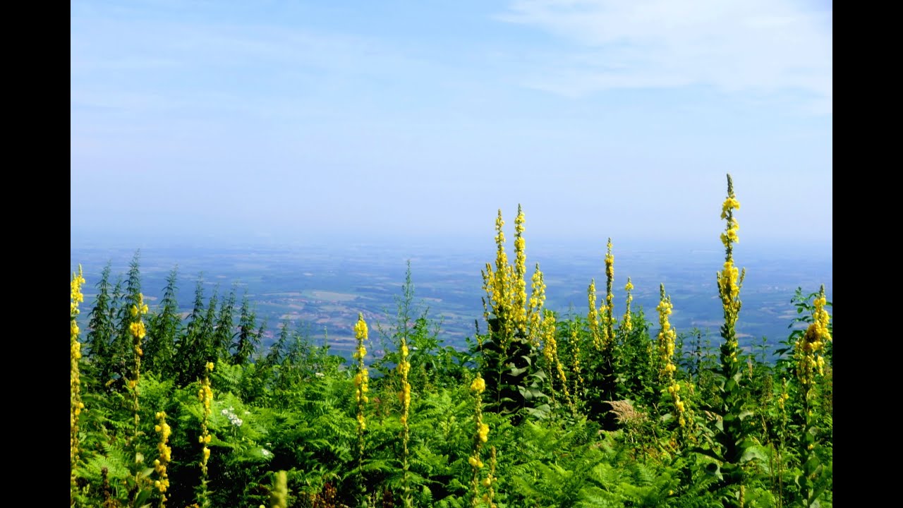 Posetite planinu Cer/Explore the historical Cer mountain