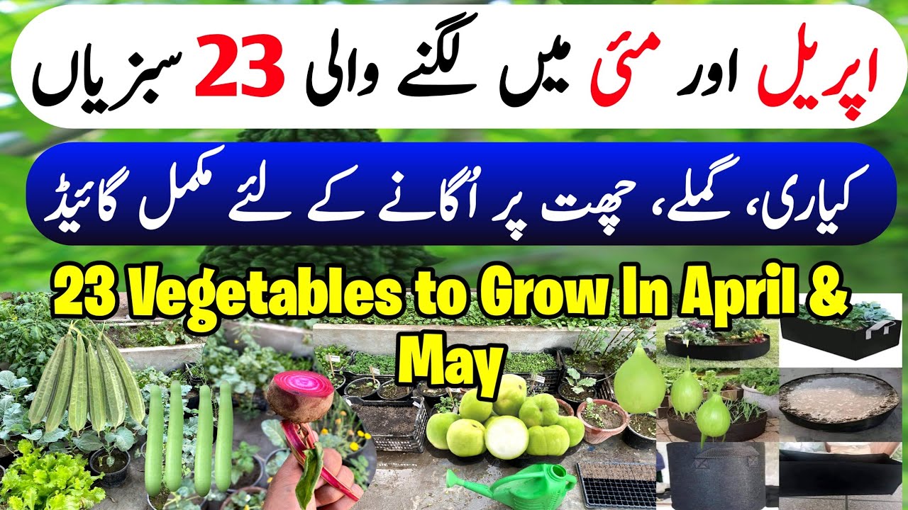 April & May Me Lagne Wali Sabzian • April Ke Month Main Kon C Vegetables Lagein | Vegetables In May
