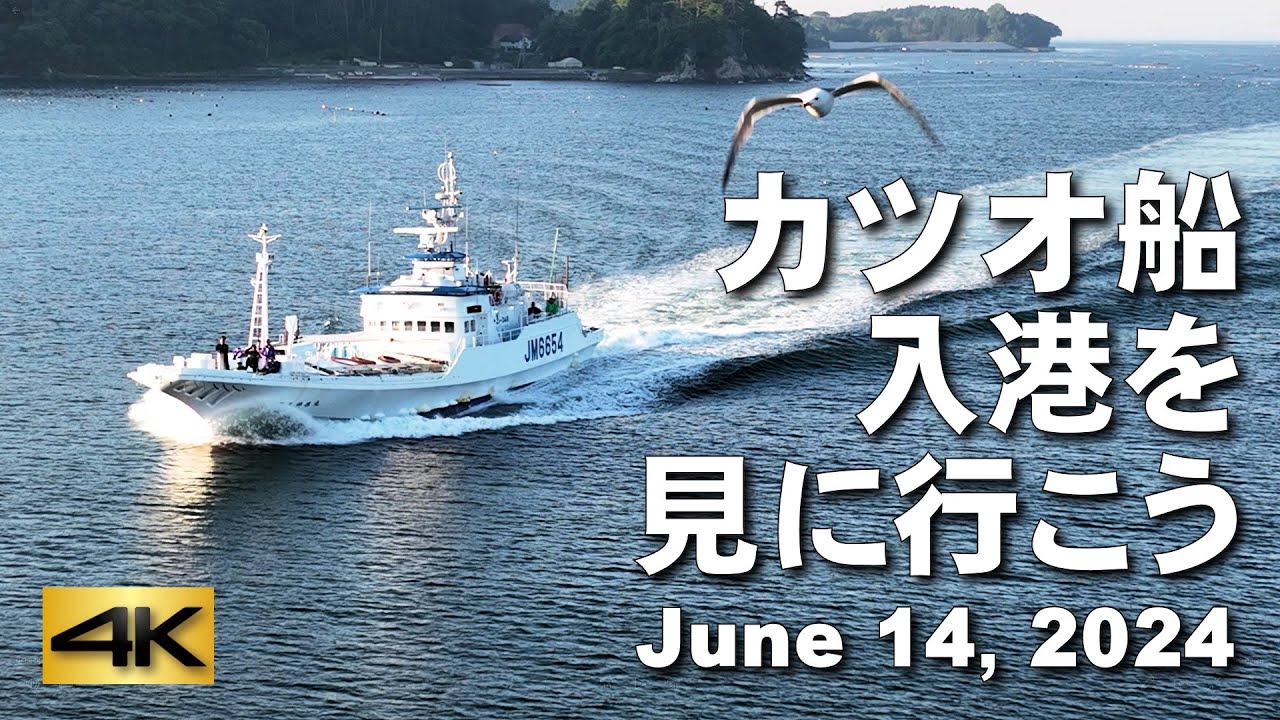 【カツオ船入港を見に行こう】気仙沼　June 14, 2024