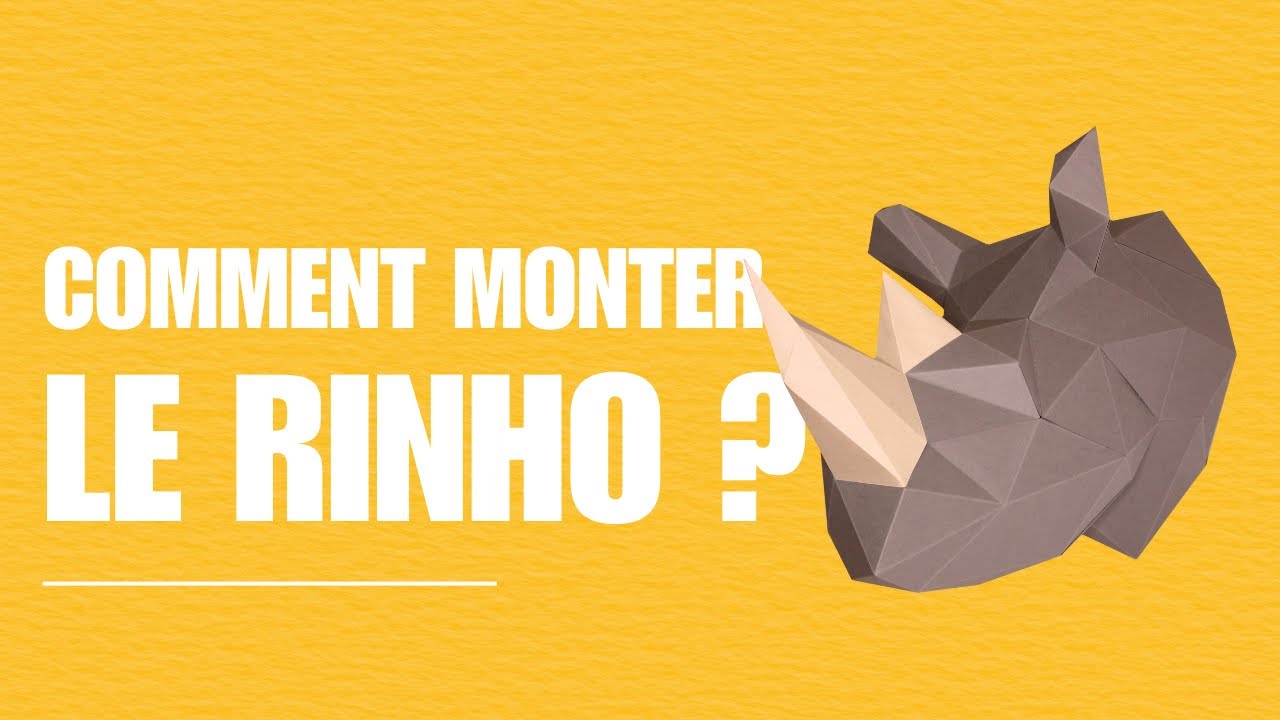 Montage du rhino