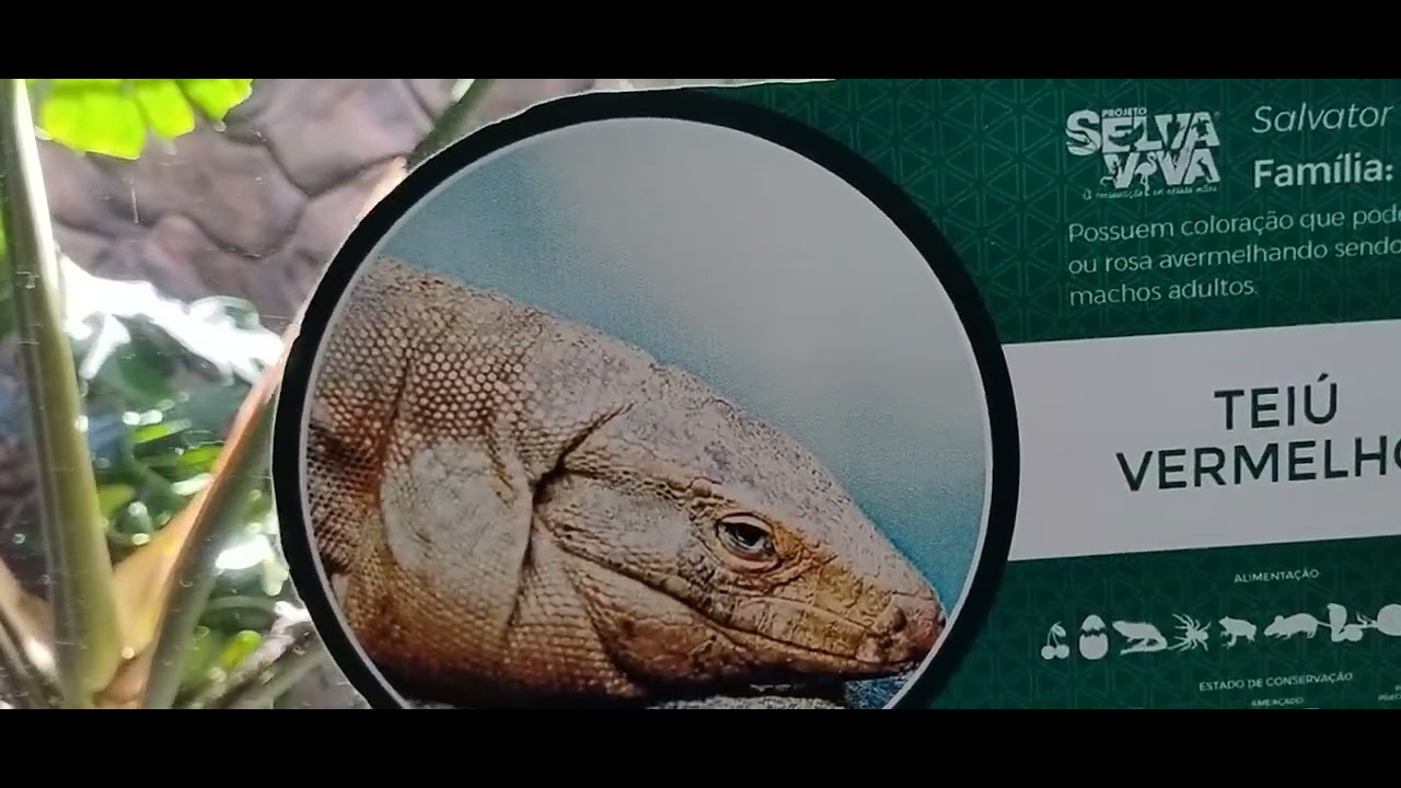Zoológico Projeto Selva Viva  Parte 1