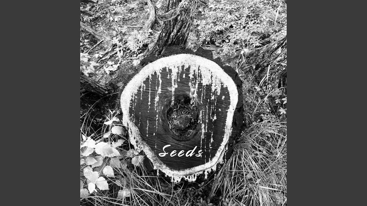 Flowers on the Grave