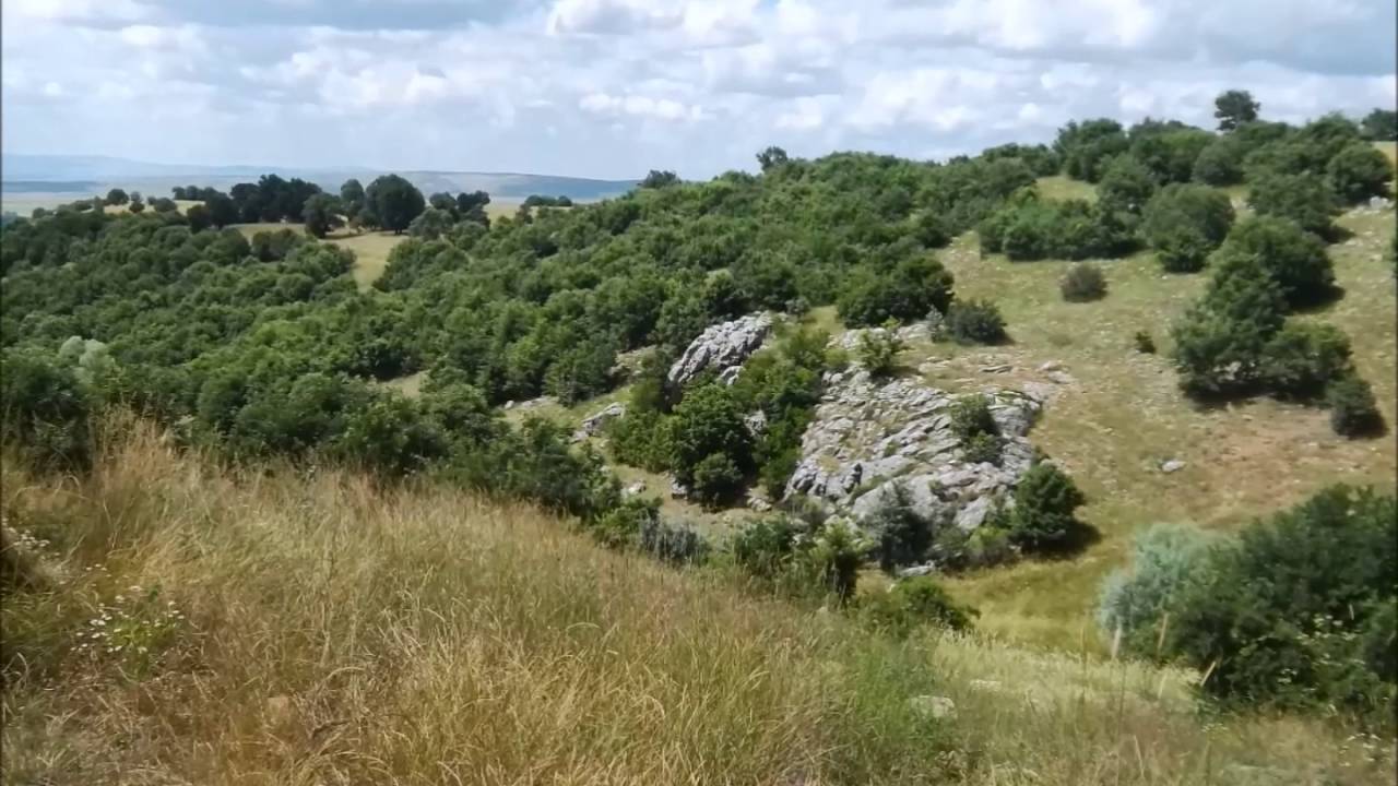 gazipaşa köyü 2016 tanıtımı