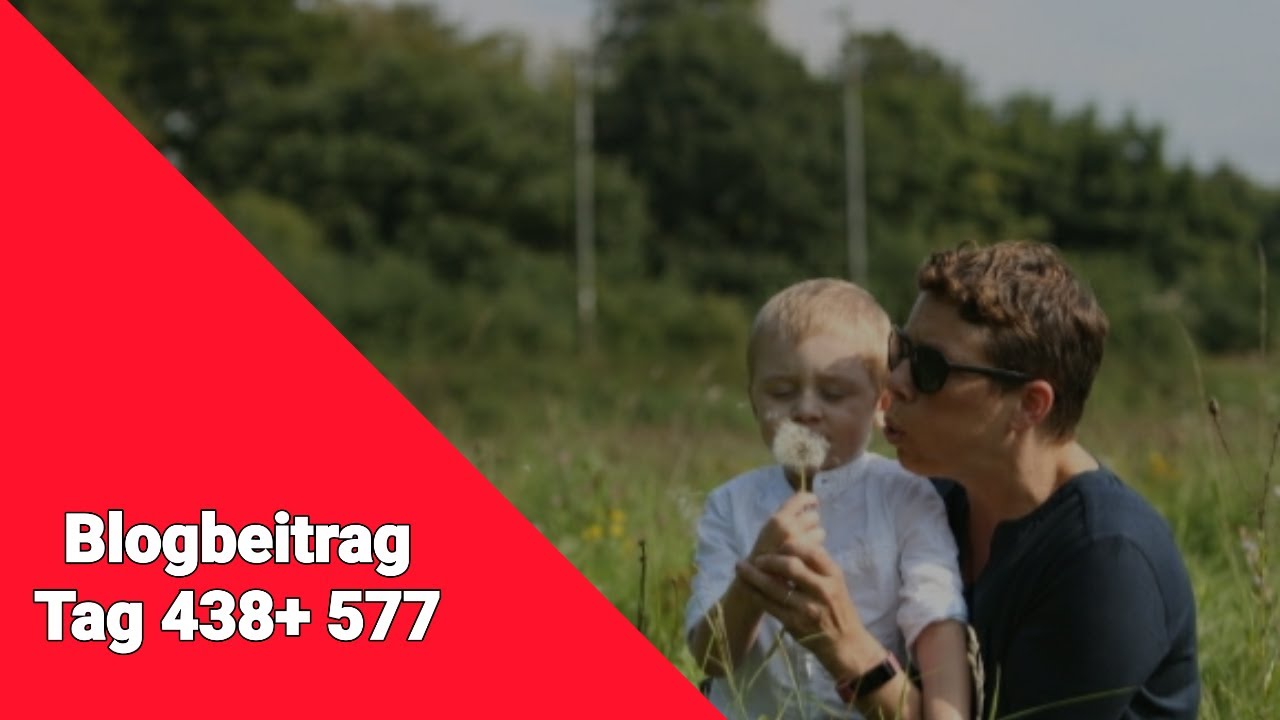 JuliusTigerHerz Blogbeitrag