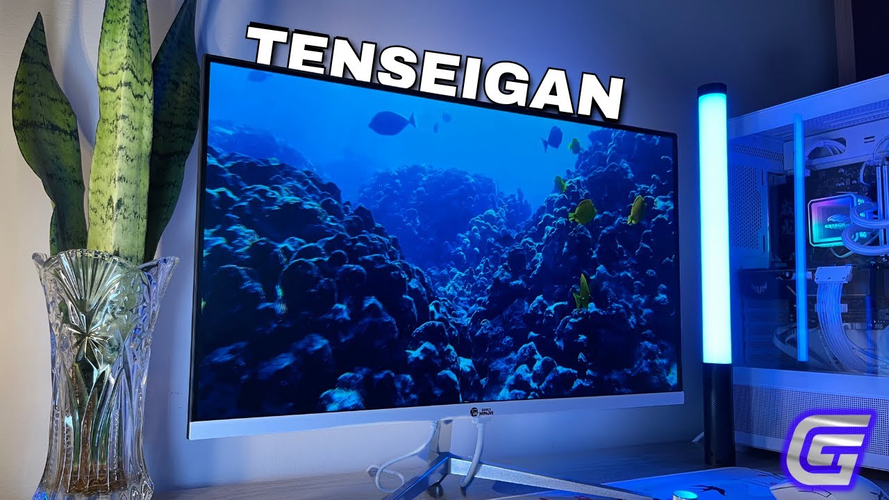 MONITOR GAMER NINJA TENSEIGAN BRANCO 24P, 165HZ IPS - VALE A PENA?
