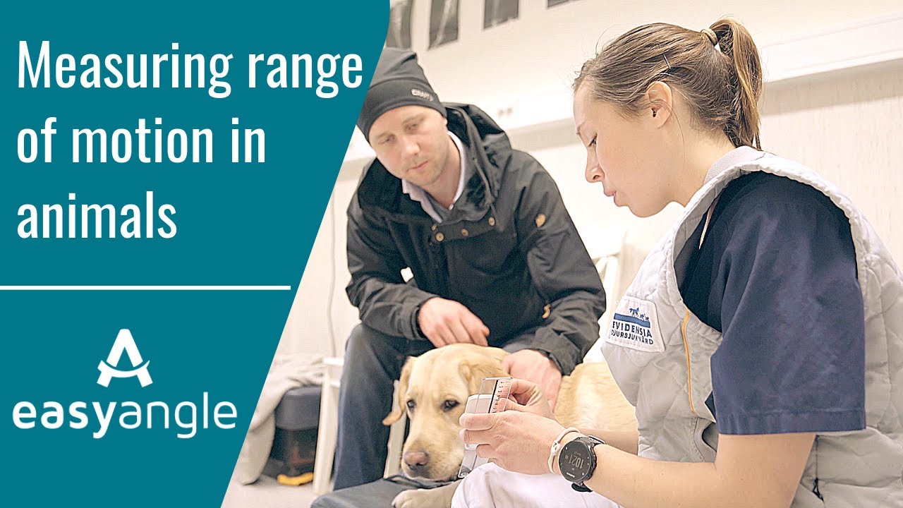 EasyAngle - Digital Goniometer for Veterinary Rehabilitation