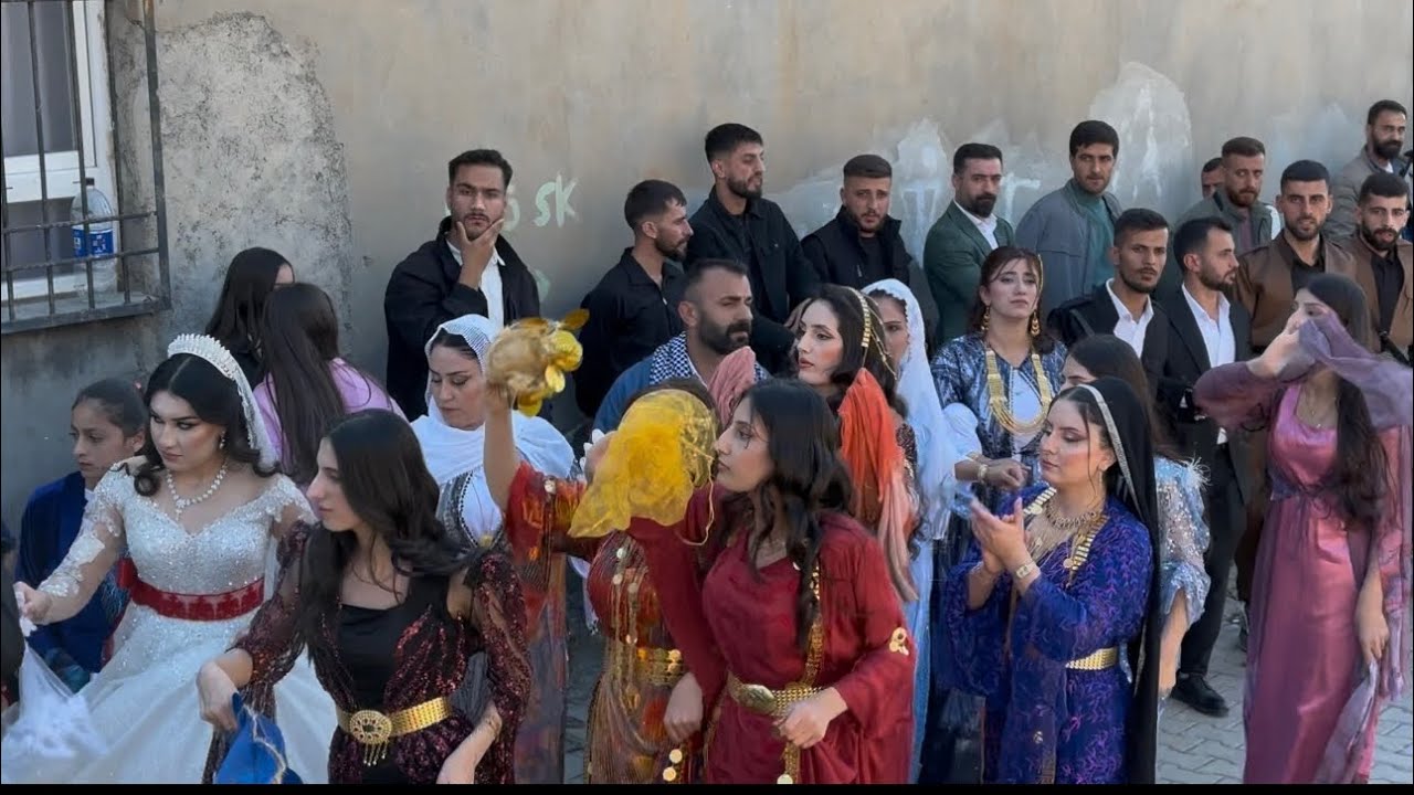 Sefer Aybi Festival Gibi Düğünü ( Grup Nihat Silopi ) 01.02.2025 BİLİĞİ AŞİRETİ