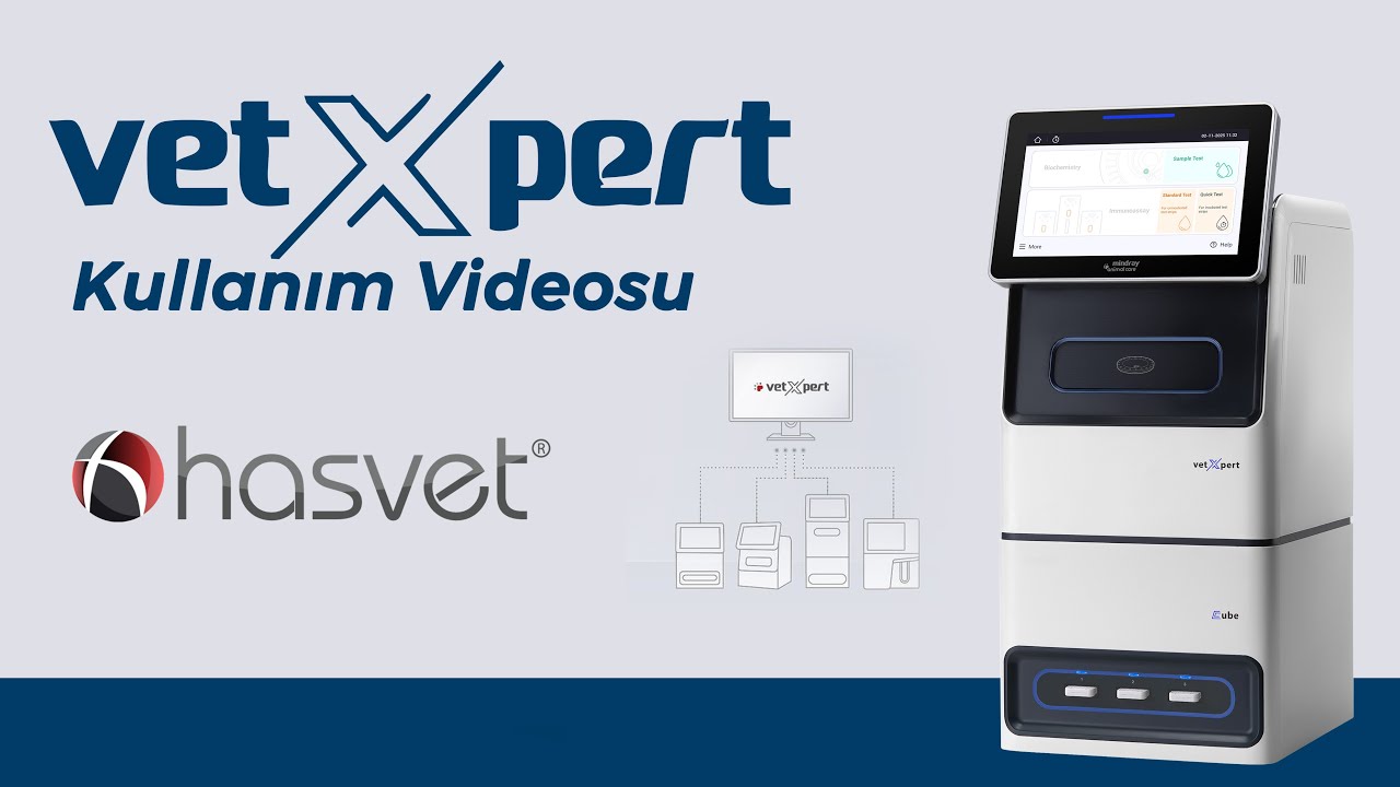 Mindray vetXpert Cube Uygulama Videosu - Hasvet Medikal