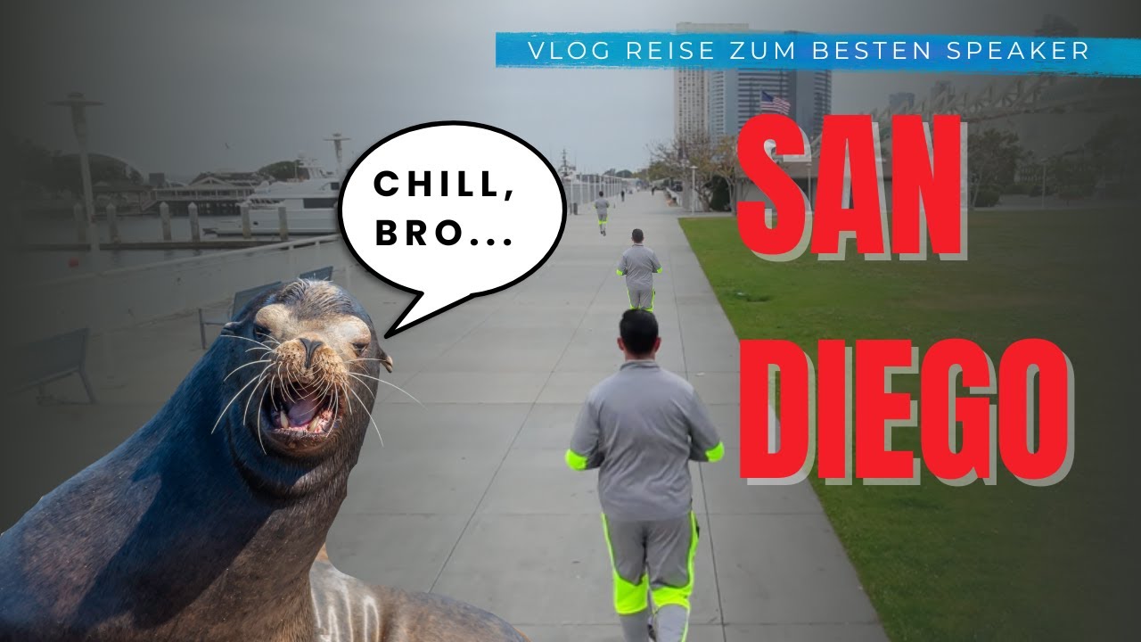 Was ich von Seelöwen über das Leben gelernt habe - USA Vlog #9
