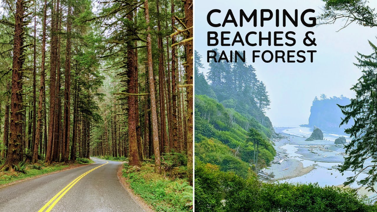 Washington Coast Road Trip - Olympic National Park | Pacific Coast Hwy