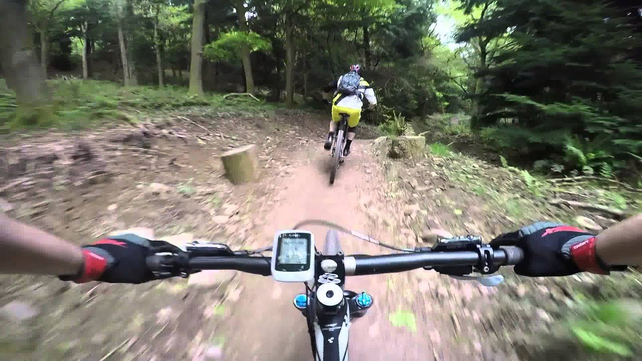 Forest of Dean MTB - Verderers trail final descent
