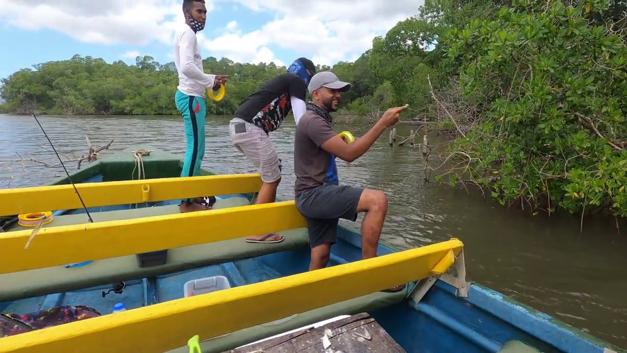 Пресноводная рыбалка на тарпона, снука и люциана с капитаном Рави, Тринидад, Карибские острова.