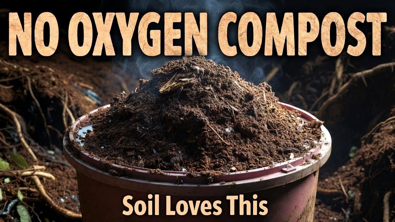 No Air  No Turning  Better Compost — The Forbidden Soil Method