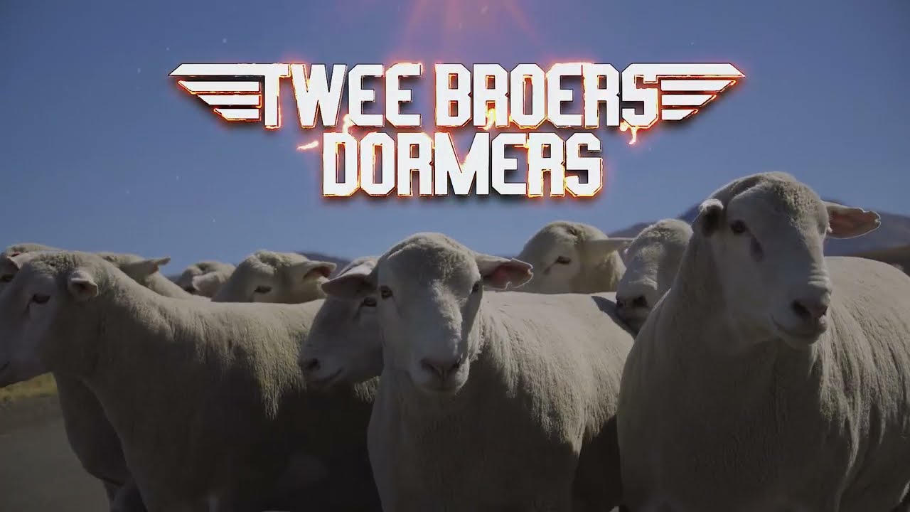 2 Broers Dormers - Top Gun Veiling