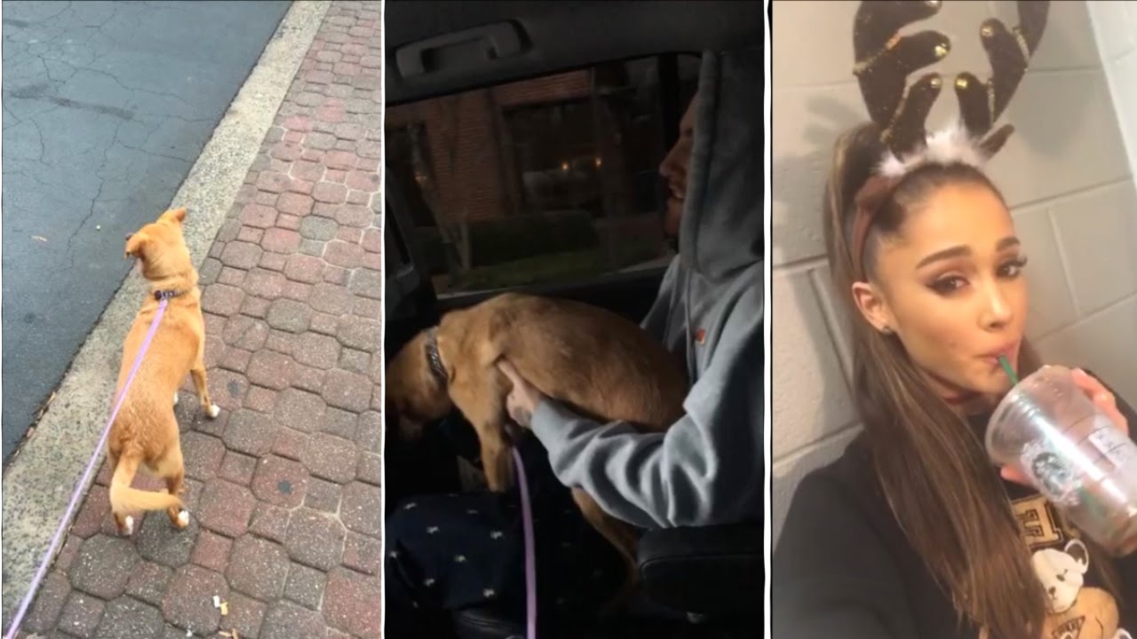 Dog Walking | Ariana Grande Newest Snapchat Video Ft Mac Miller And More
