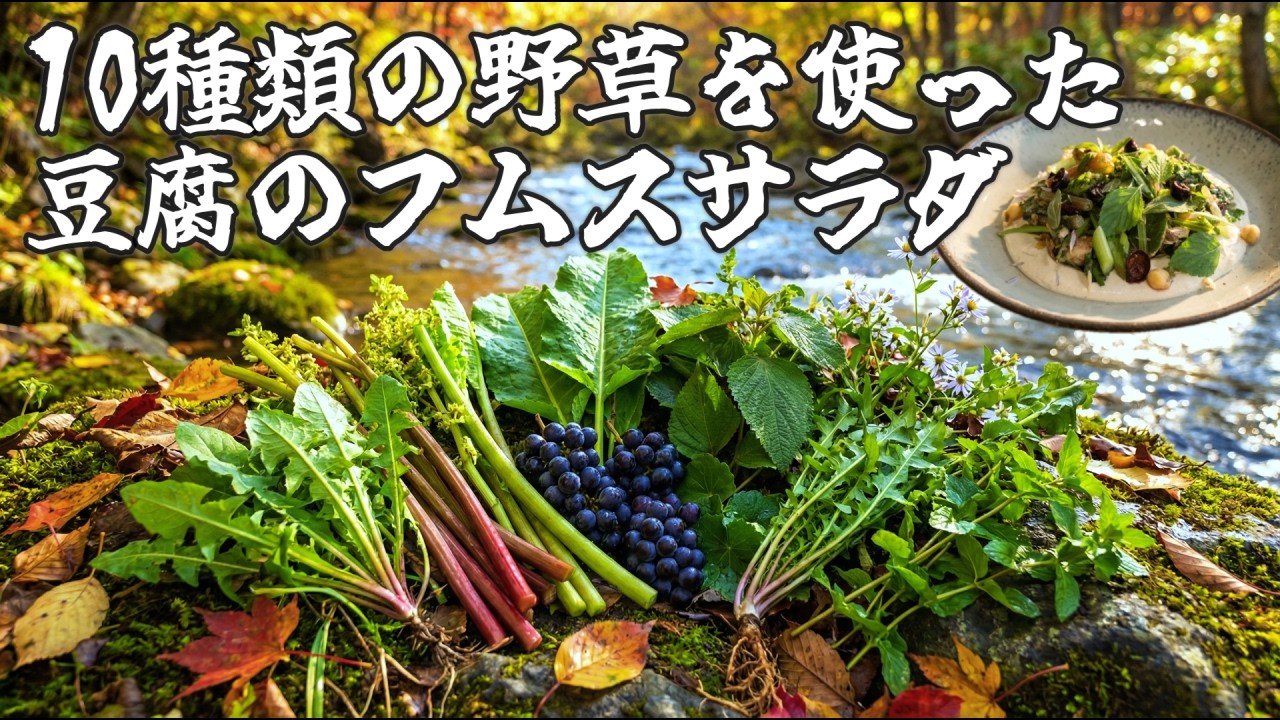 【野草採取】秋冬に採れる野草で満腹ヘルシーサラダ作ってみた