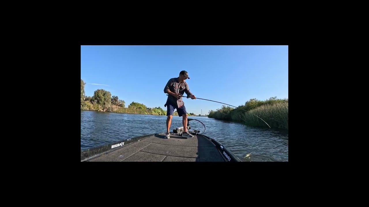 California Delta Bluegill wakebait