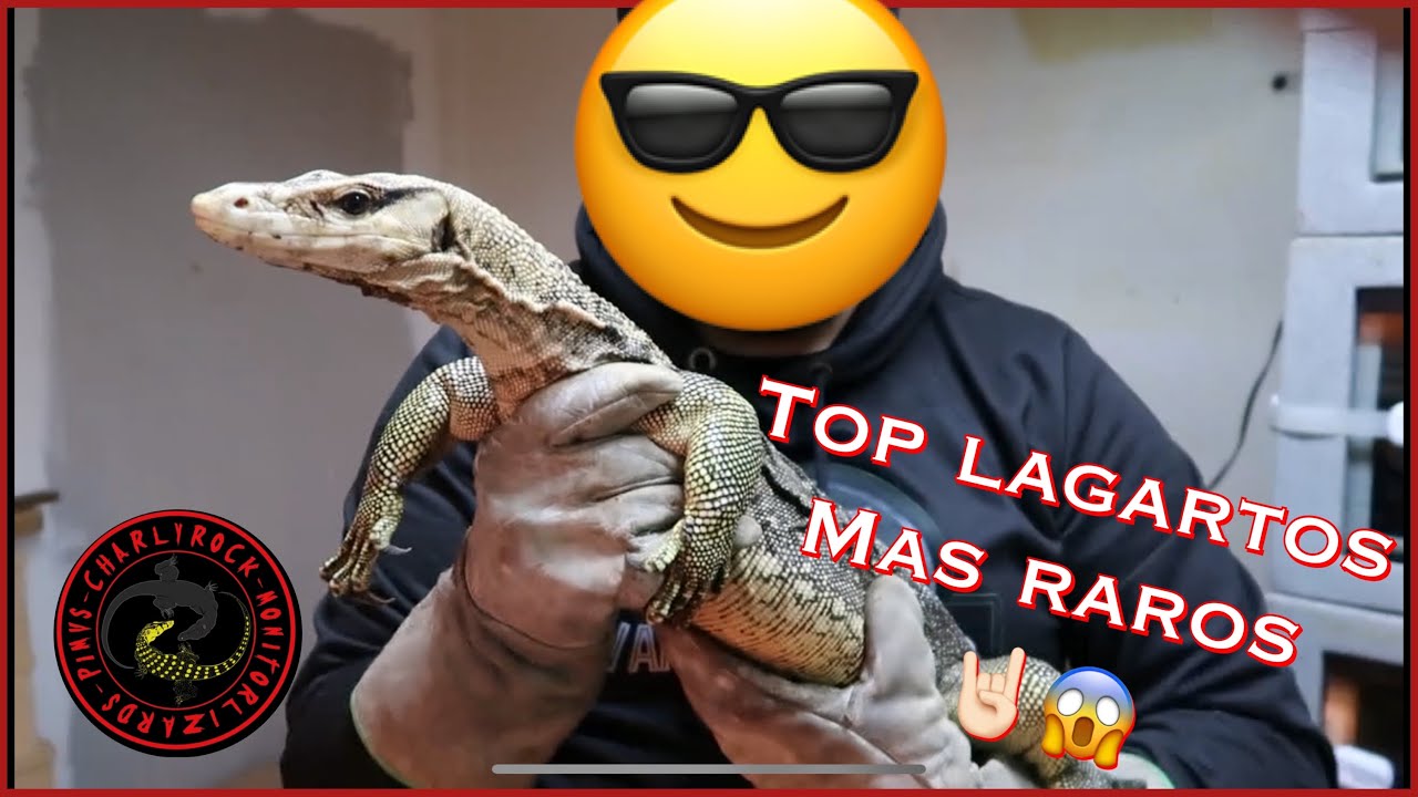 TOP ESPECIES MÁS RARAS DE LAGARTOS EN EL CRIADERO 😱🦎🤘🏻