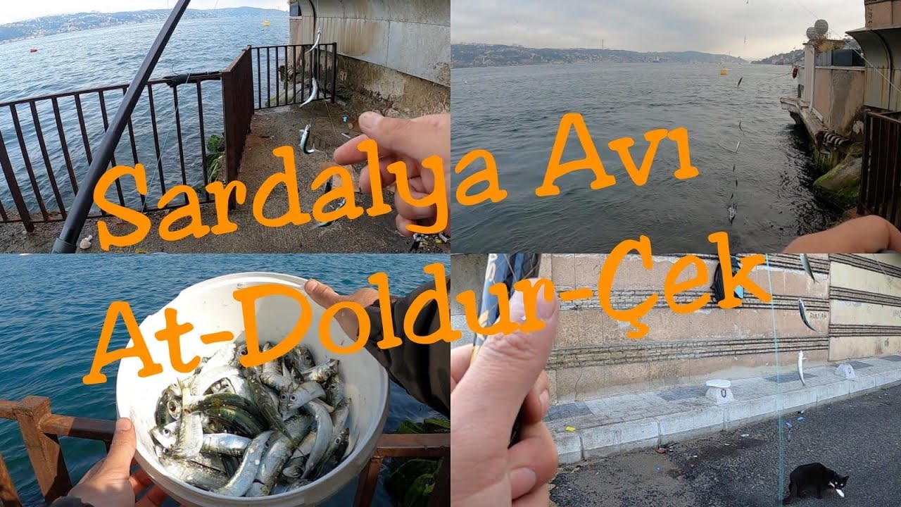 Karantina Öncesi Son Balık Avım - Balık Avı - Sardalya