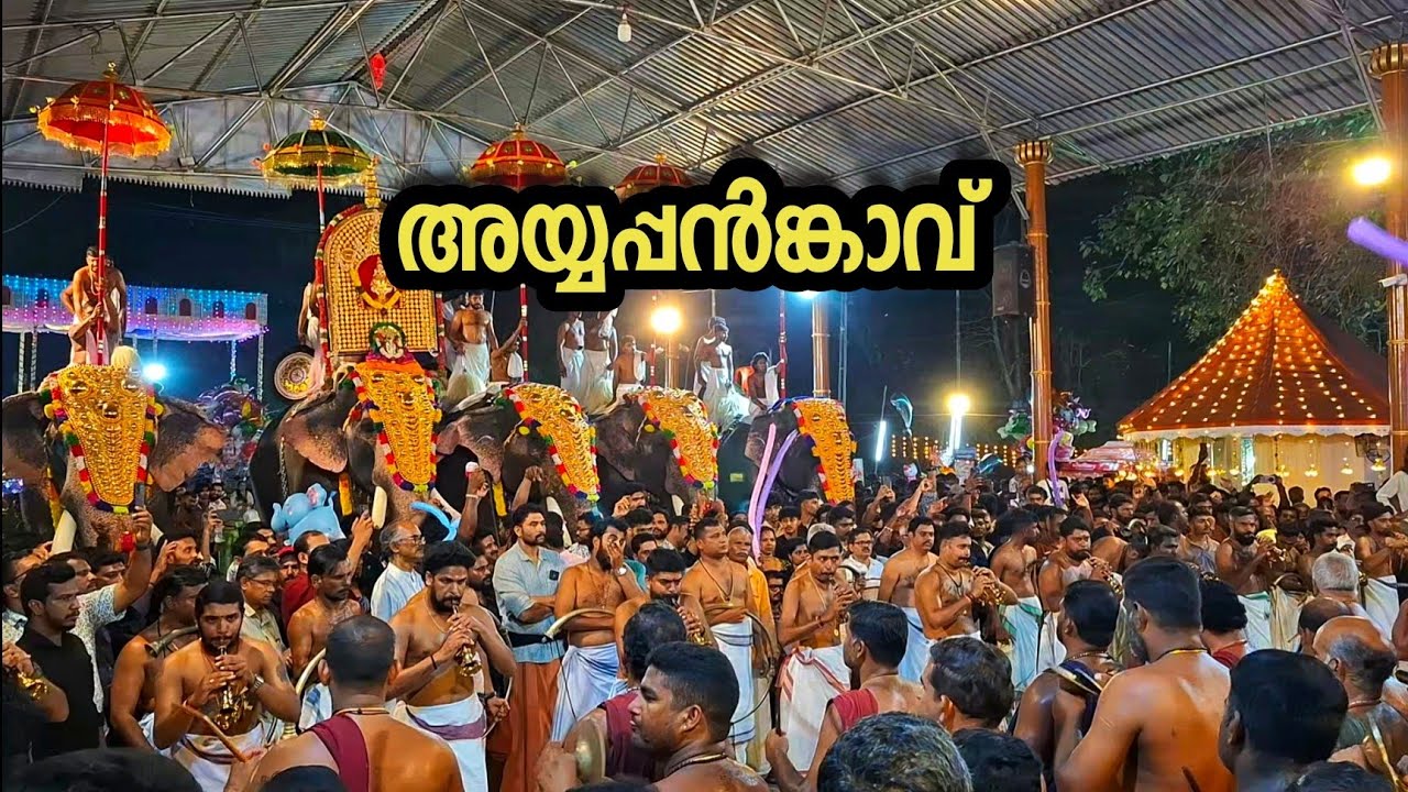 അയപ്പൻ കാവു