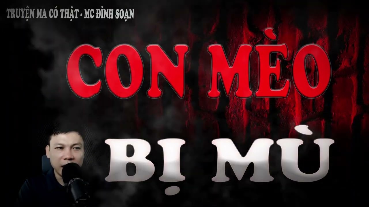 Truyện Ma Mới Nhất : CON MÈO BỊ MÙ - đeo tai nghe và thả mình vào không gian lạnh sống lưng