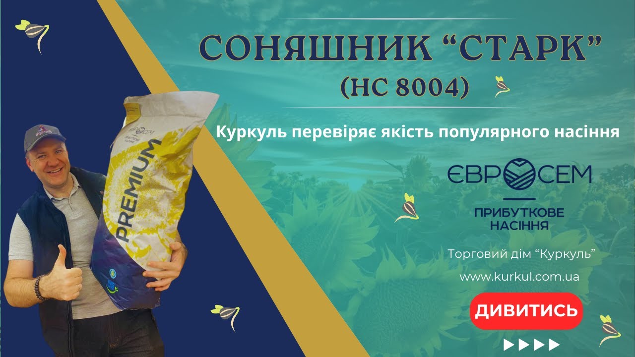 СТАРК від Євросема 🌻🌻🌻  КУРКУЛЬ ПЕРЕВІРЯЄ ЯКІСТЬ НАСІННЯ ВІДОМОГО ГІБРИДУ СОНЯШНИКА