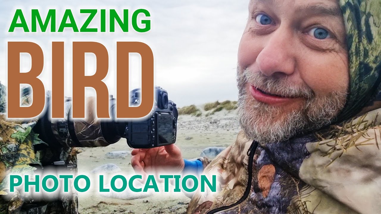 Outstanding BIRDWATCHING HOTSPOT! Impressive variety of SHOREBIRDS.