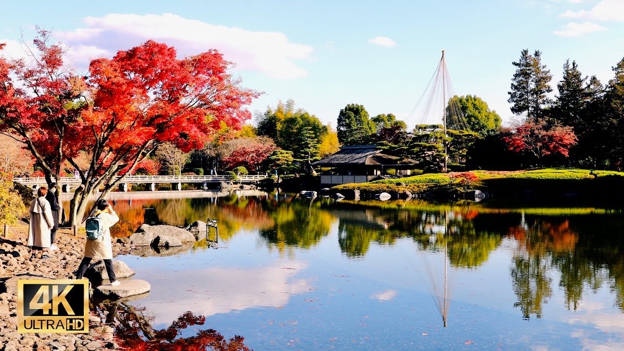 東京の宝「東京もみじまつり」| 日本庭園 | 国営昭和記念公園 | 東京旅行