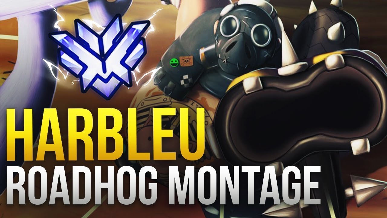 Harbleu - GOD TIER ROADHOG MONTAGE - Overwatch Montage