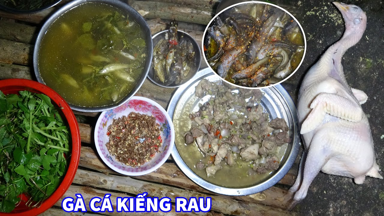 TÌM ONG CÂU CÁ SĂN GÀ RỪNG, NGỦ RỪNG, CUỘC SỐNG HOANG DÃ - Mùa Mật Ong Rừng 2023 | T7