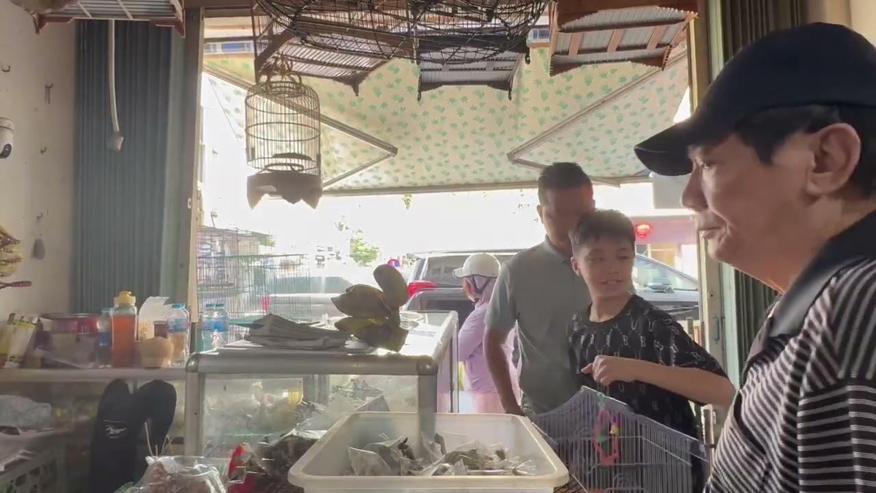 Chủ nhật ghé shop cám ngon – phụ kiện đủ loại, cho Pet 🐦 cảm quý khách ghé ủng hộ 
