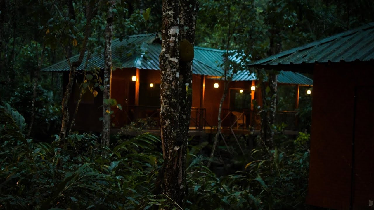 Monsoon Retreats | Thekkady, India | Hotel Review 🏩