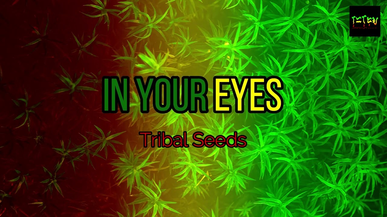 In Your Eyes - Tribal Seeds (Karaoke Version) HD