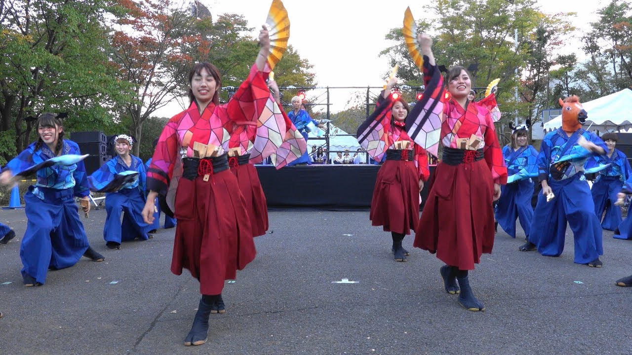 早稲田大学 東京花火【ハヰカラ】所沢キャンパス祭2018